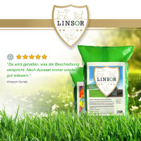 schnellkeimender rasen