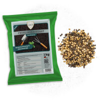 gründüngung frühjahr