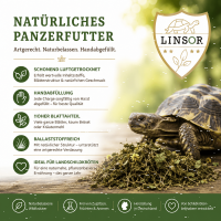 futter für landschildkröten