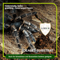 Terrarienerde – Bodengrund für Terrarien