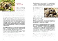 Achtung, Schildkröte! Ein kostenloser und kompakter...
