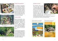 Achtung, Schildkröte! Ein kostenloser und kompakter Ratgeber über die Haltung Europäischer Landschildkröten