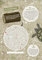 Faszination Schildkröte - das besondere Rätsel-, Mal- und Wissensbuch