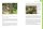 Mediterranean Tortoises: Gentle Creatures in Hard Shells