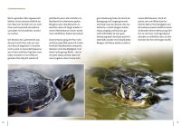 Mein Leben als Wasserschildkröte