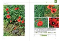 Der Schildkröten-Gärtner - Naturnahe Ernährung Europäischer Landschildkröten