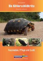 Die Köhlerschildkröte Chelonoidis carbonarius