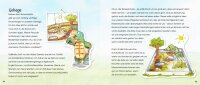 Griechische Landschildkröten. Das Erkundungsbuch für große und kleine Entdecker
