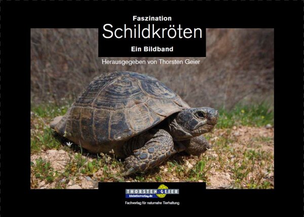 Faszination Schildkröten. Ein Bildband