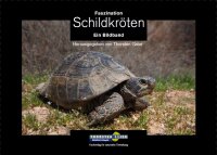 Faszination Schildkröten. Ein Bildband
