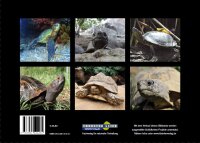 Faszination Schildkröten. Ein Bildband