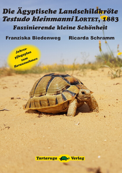Die Ägyptische Landschildkröte Testudo kleinmanni (Franziska Biedenweg & Ricarda Schramm)