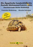 Die Ägyptische Landschildkröte Testudo...