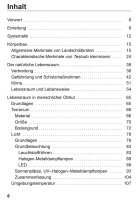 Die Ägyptische Landschildkröte Testudo...