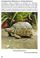 Die Ägyptische Landschildkröte Testudo kleinmanni (Franziska Biedenweg & Ricarda Schramm)