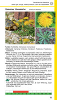 Landschildkröten-Futterpflanzen (Ricarda Schramm)