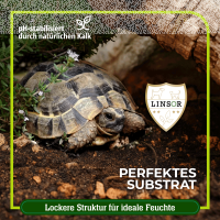 erde für landschildkröten