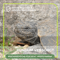 Algenkalk für Schildkröten 1 kg