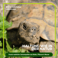 Algenkalk für Schildkröten 1 kg