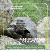 Algenkalk für Schildkröten 1 kg