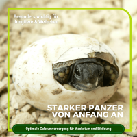 Algenkalk für Schildkröten 1 kg