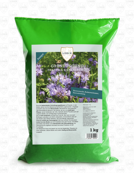 Phacelia Gründünger 1 kg