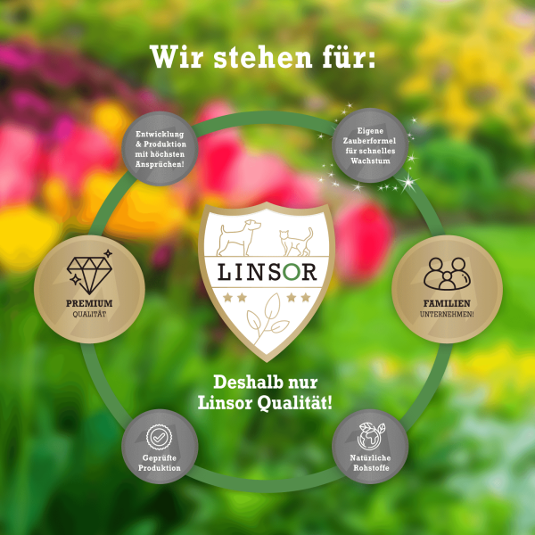weinreben mit pferdemist düngen Weinreben Dünger von Flora Boost – Für gesundes Wachstum und kräftige  Trauben main image 1