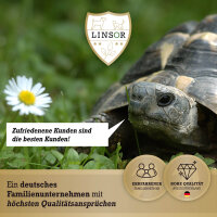 Frühlingsrasen Samen 1 kg - Rasensamen Frühjahr