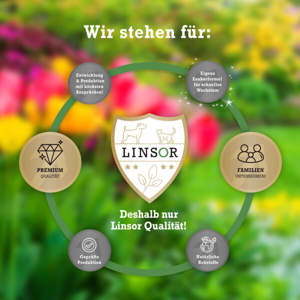 trkranz frhling knstlich Herbstkranz knstlich  Trkranz Outdoor  55 cm  mit Krbis & Calla