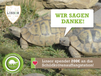 schildkröten saatgut