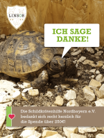 Schildkröten Futterpflanzen Samen – Kräutermischung 50 g