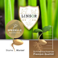 Zauberrasen 2,5 kg - Rasensamen schnellkeimend